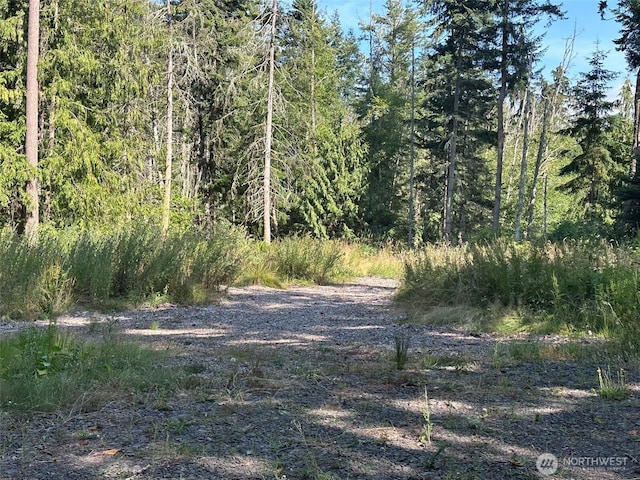 9999 Took A Look Ln, Sequim, WA 98382 - photo 1