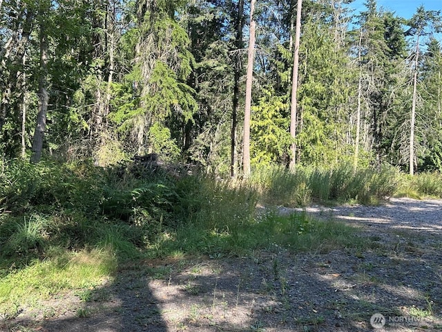 9999 Took A Look Ln, Sequim, WA 98382 - photo 2