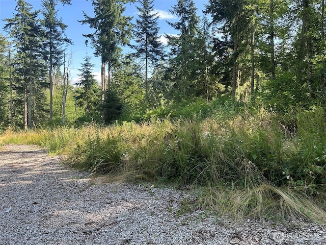 9999 Took A Look Ln, Sequim, WA 98382 - photo 3