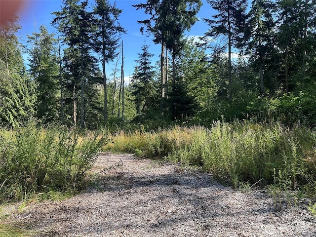 9999 Took A Look Ln, Sequim, WA 98382 - photo 4