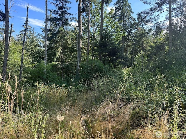 9999 Took A Look Ln, Sequim, WA 98382 - photo 5
