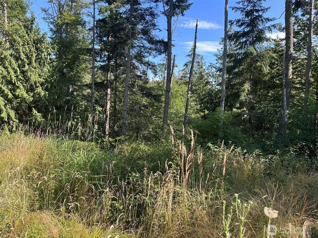 9999 Took A Look Ln, Sequim, WA 98382 - photo 6