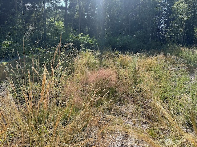 9999 Took A Look Ln, Sequim, WA 98382 - photo 8