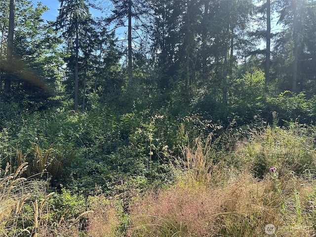 9999 Took A Look Ln, Sequim, WA 98382 - photo 9