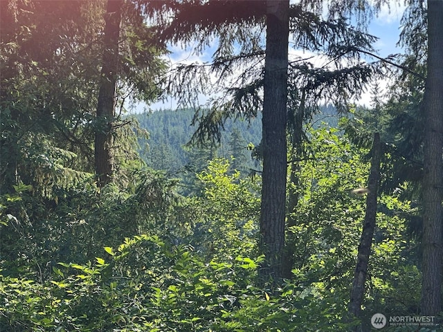 9999 Took A Look Ln, Sequim, WA 98382 - photo 10