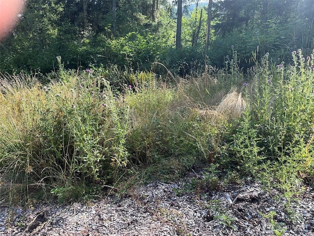 9999 Took A Look Ln, Sequim, WA 98382 - photo 13