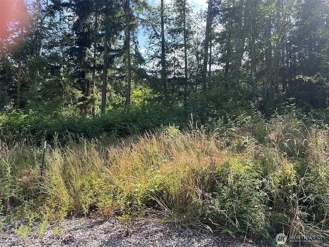 9999 Took A Look Ln, Sequim, WA 98382 - photo 15
