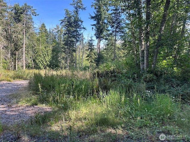 9999 Took A Look Ln, Sequim, WA 98382 - photo 16