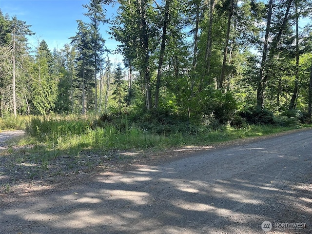 9999 Took A Look Ln, Sequim, WA 98382 - photo 17