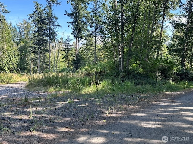 9999 Took A Look Ln, Sequim, WA 98382 - photo 19
