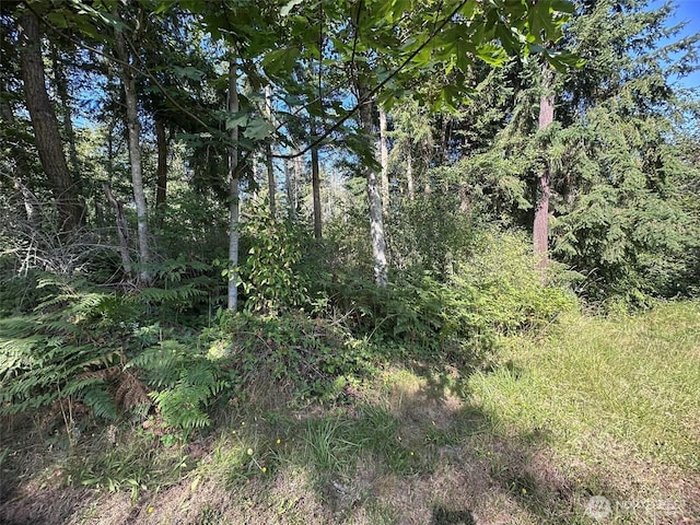9999 Took A Look Ln, Sequim, WA 98382 - photo 20