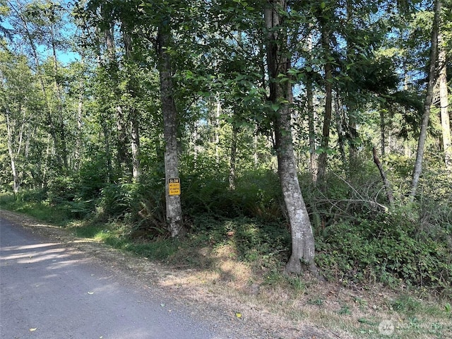 9999 Took A Look Ln, Sequim, WA 98382 - photo 21
