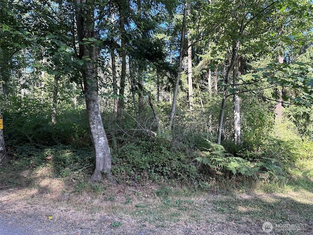 9999 Took A Look Ln, Sequim, WA 98382 - photo 22