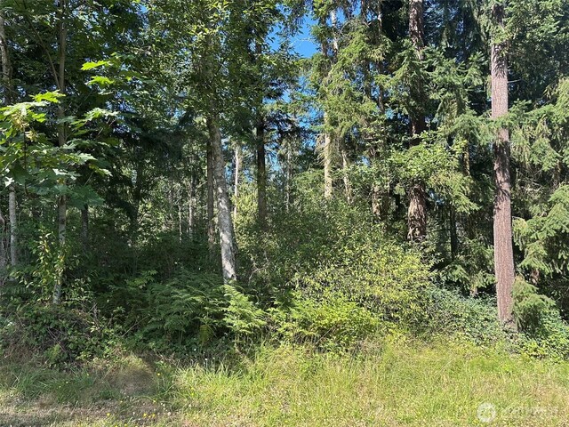 9999 Took A Look Ln, Sequim, WA 98382 - photo 23