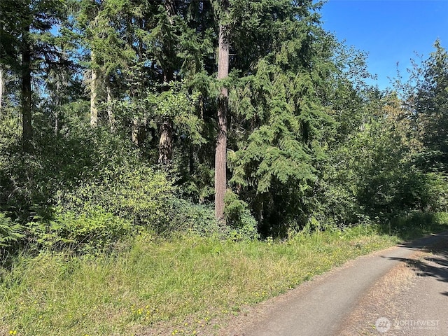 9999 Took A Look Ln, Sequim, WA 98382 - photo 24