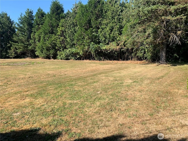 3037 Massey Rd, Everson, WA 98247 - photo 28