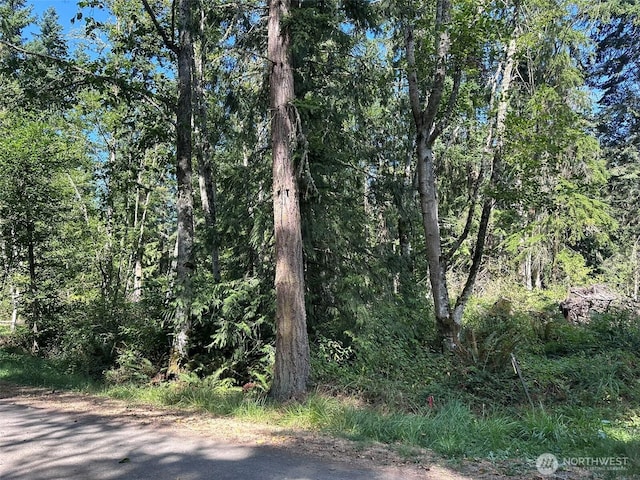 144 Took A Look Ln, Sequim, WA 98382 - photo 1