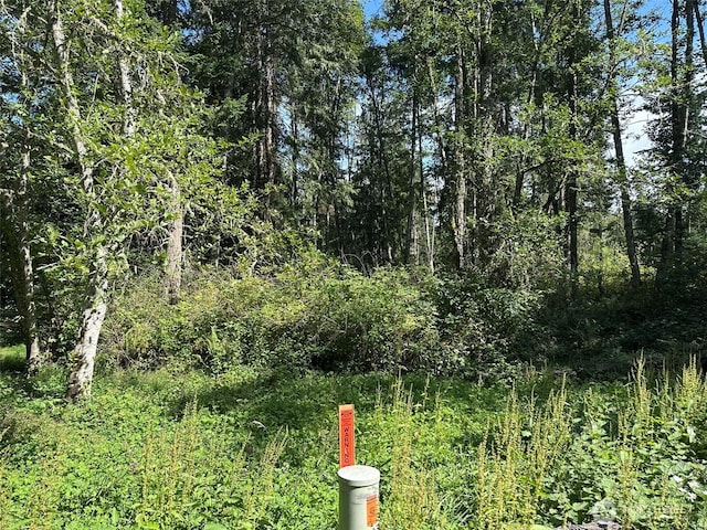 144 Took A Look Ln, Sequim, WA 98382 - photo 2