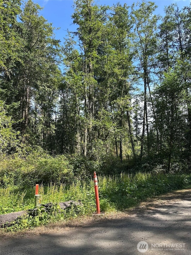 144 Took A Look Ln, Sequim, WA 98382 - photo 3