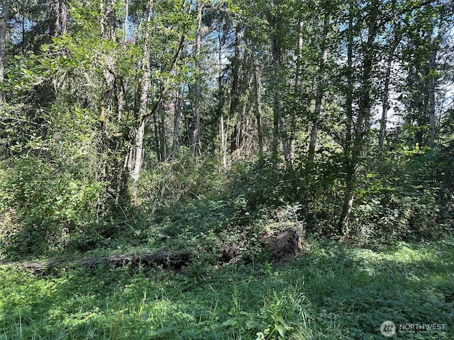 144 Took A Look Ln, Sequim, WA 98382 - photo 4
