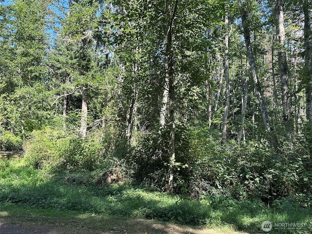 144 Took A Look Ln, Sequim, WA 98382 - photo 5