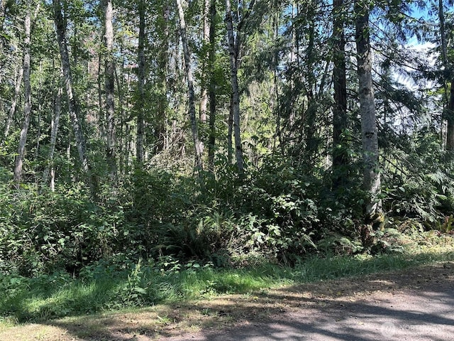 144 Took A Look Ln, Sequim, WA 98382 - photo 6