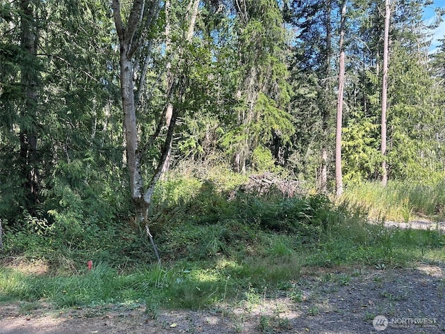 144 Took A Look Ln, Sequim, WA 98382 - photo 7