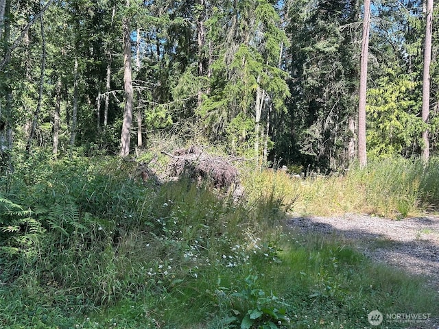 144 Took A Look Ln, Sequim, WA 98382 - photo 8