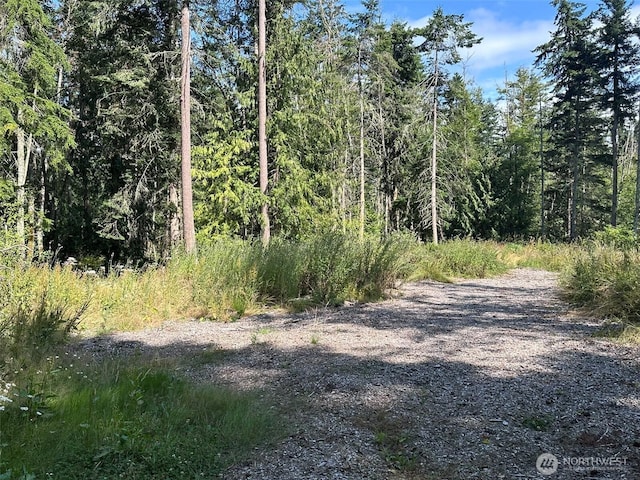 144 Took A Look Ln, Sequim, WA 98382 - photo 9