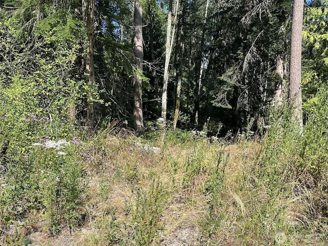 144 Took A Look Ln, Sequim, WA 98382 - photo 11
