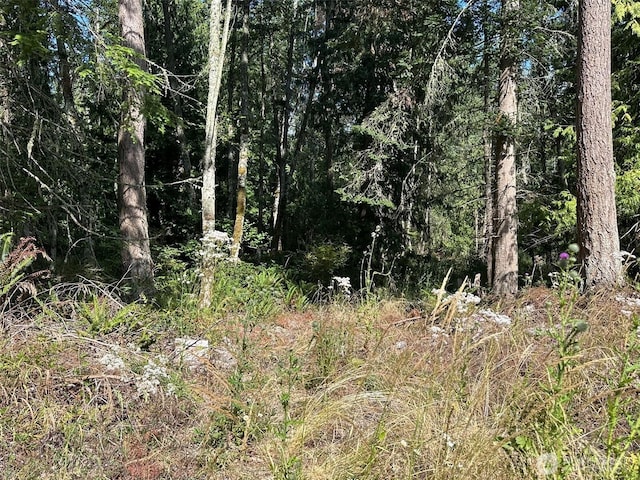 144 Took A Look Ln, Sequim, WA 98382 - photo 12
