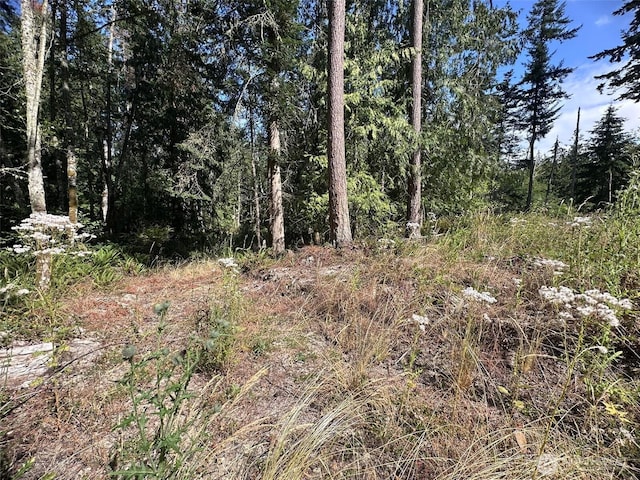 144 Took A Look Ln, Sequim, WA 98382 - photo 13