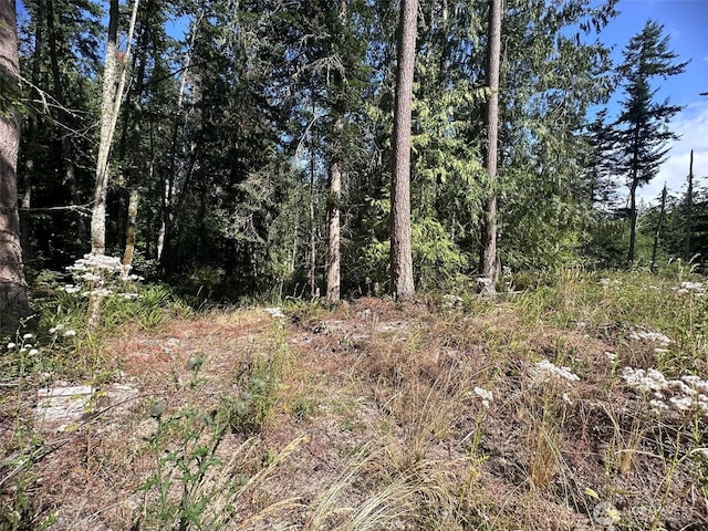 144 Took A Look Ln, Sequim, WA 98382 - photo 14