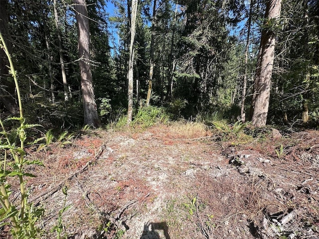 144 Took A Look Ln, Sequim, WA 98382 - photo 15