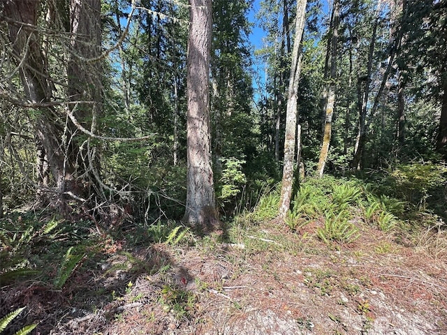 144 Took A Look Ln, Sequim, WA 98382 - photo 16