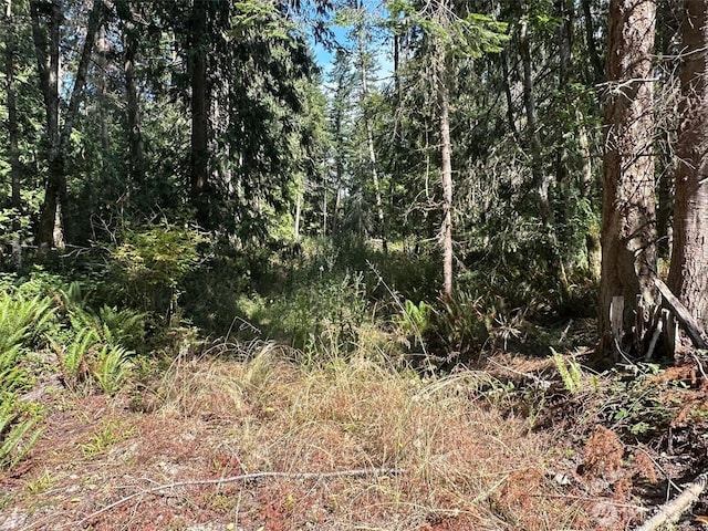 144 Took A Look Ln, Sequim, WA 98382 - photo 17