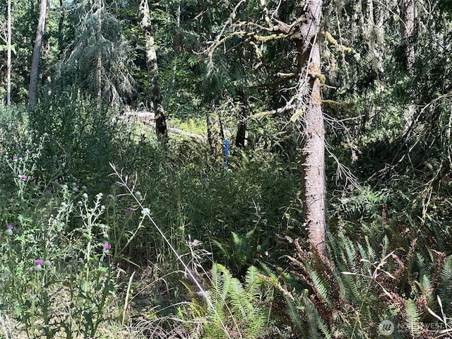 144 Took A Look Ln, Sequim, WA 98382 - photo 18