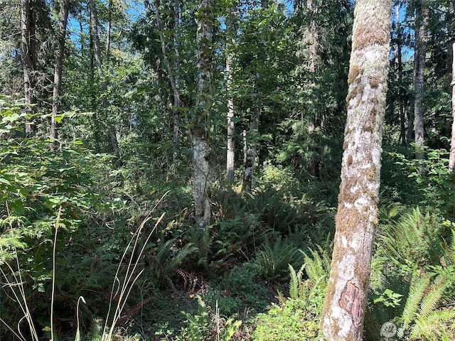 144 Took A Look Ln, Sequim, WA 98382 - photo 19