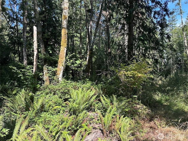 144 Took A Look Ln, Sequim, WA 98382 - photo 20