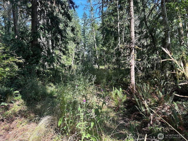 144 Took A Look Ln, Sequim, WA 98382 - photo 22