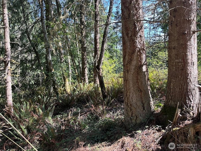 144 Took A Look Ln, Sequim, WA 98382 - photo 23