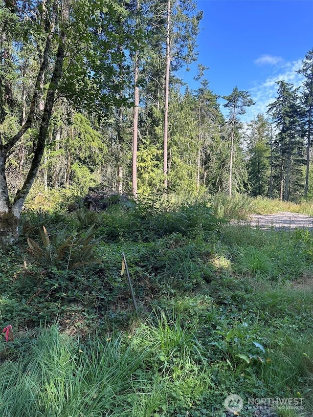 144 Took A Look Ln, Sequim, WA 98382 - photo 24