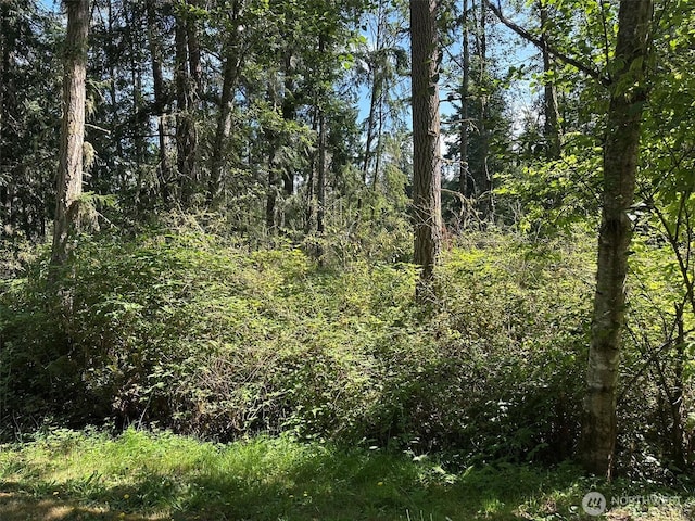 144 Took A Look Ln, Sequim, WA 98382 - photo 25