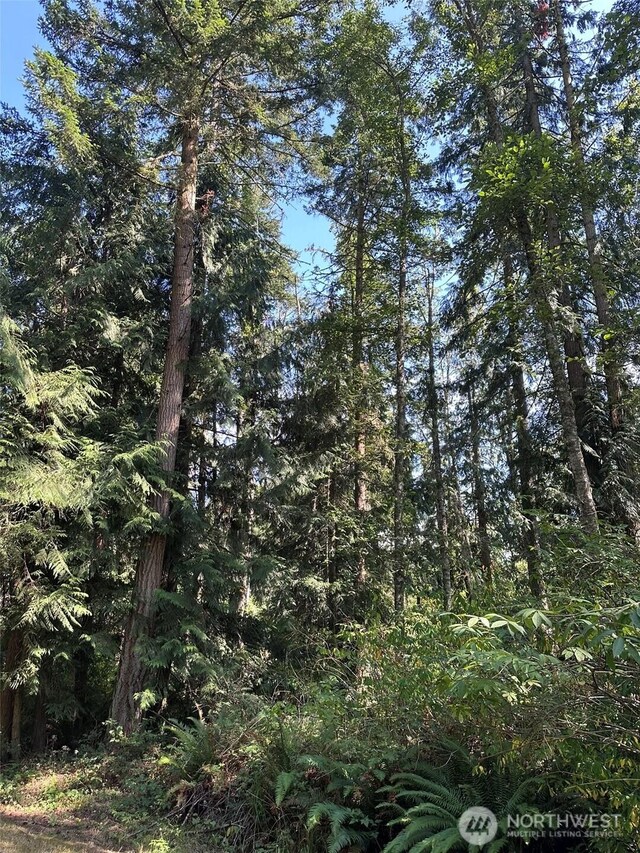 144 Took A Look Ln, Sequim, WA 98382 - photo 26