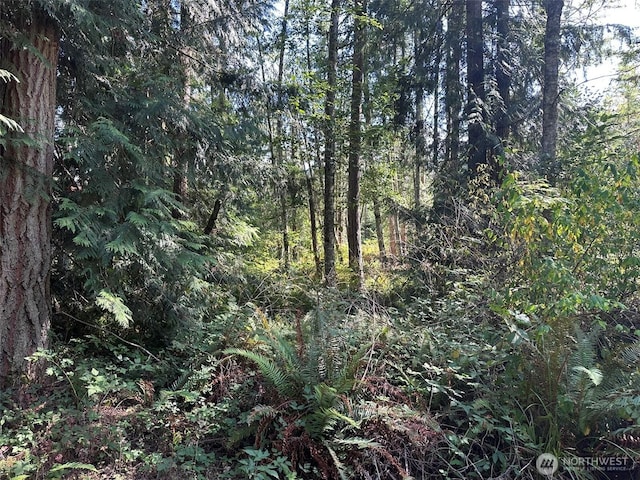 144 Took A Look Ln, Sequim, WA 98382 - photo 27