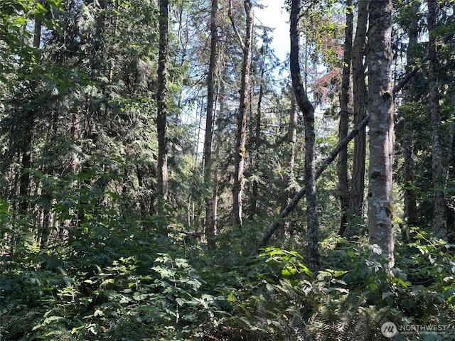 144 Took A Look Ln, Sequim, WA 98382 - photo 28
