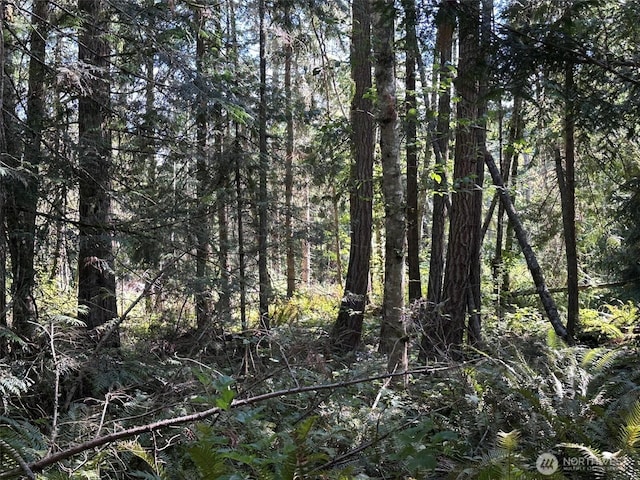 144 Took A Look Ln, Sequim, WA 98382 - photo 29