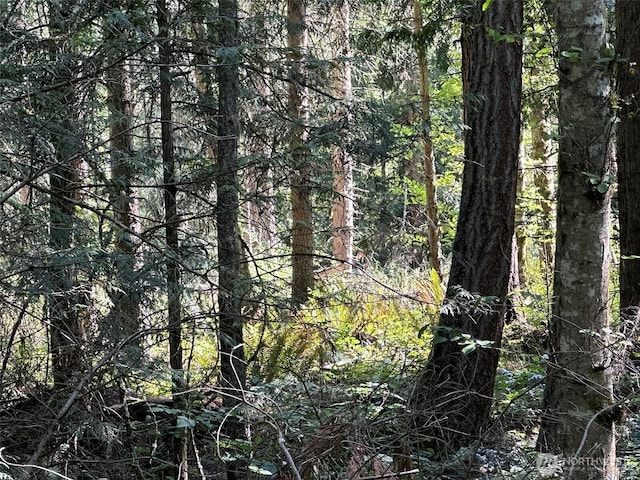 144 Took A Look Ln, Sequim, WA 98382 - photo 30
