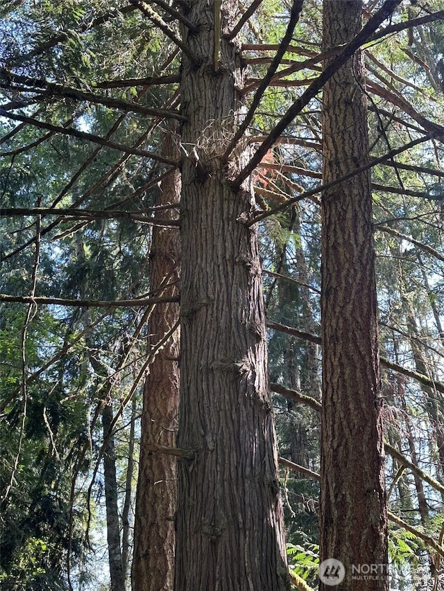 144 Took A Look Ln, Sequim, WA 98382 - photo 31