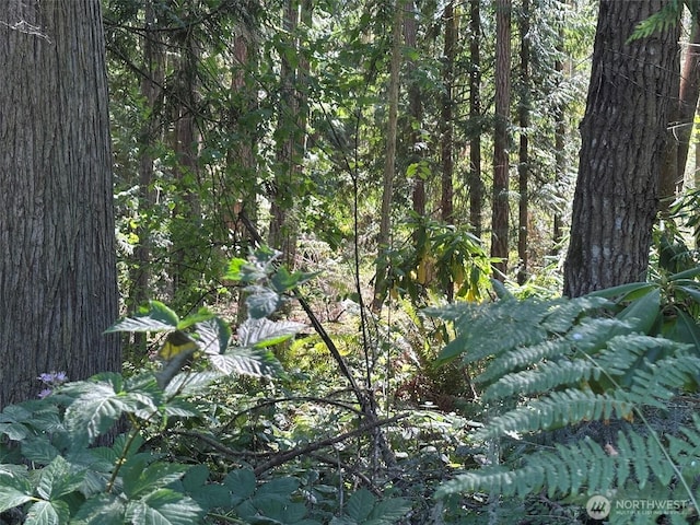 144 Took A Look Ln, Sequim, WA 98382 - photo 34